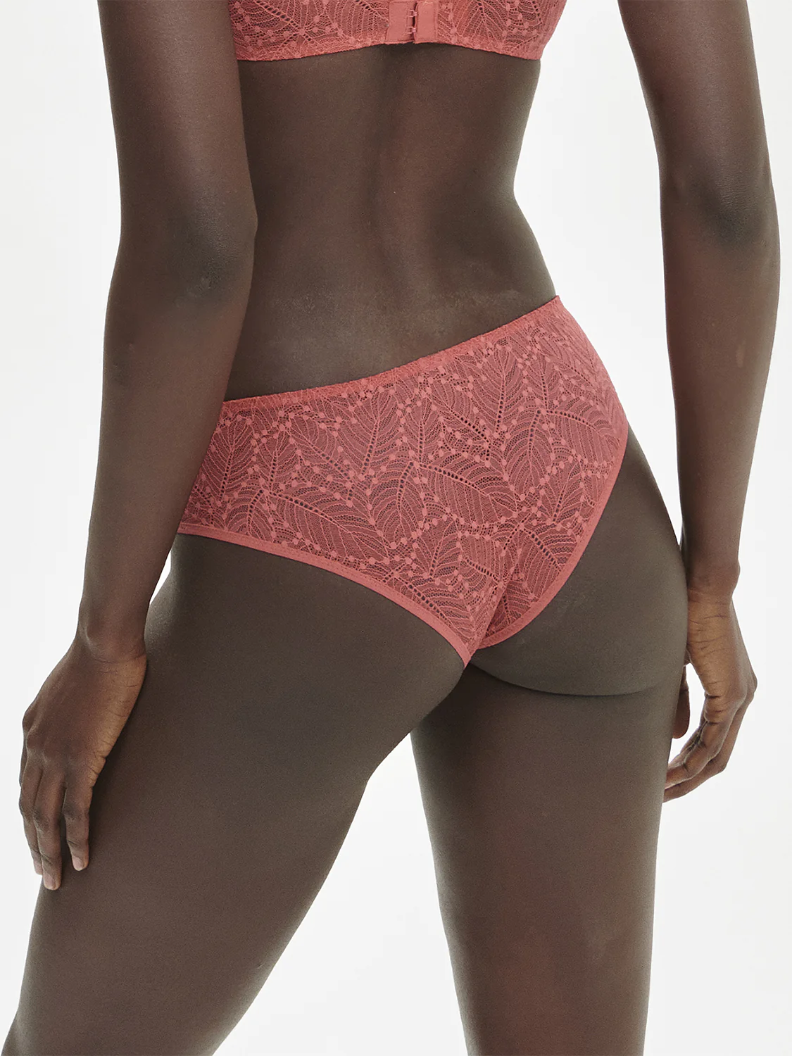 Shorty - Rose Texas - Image 2