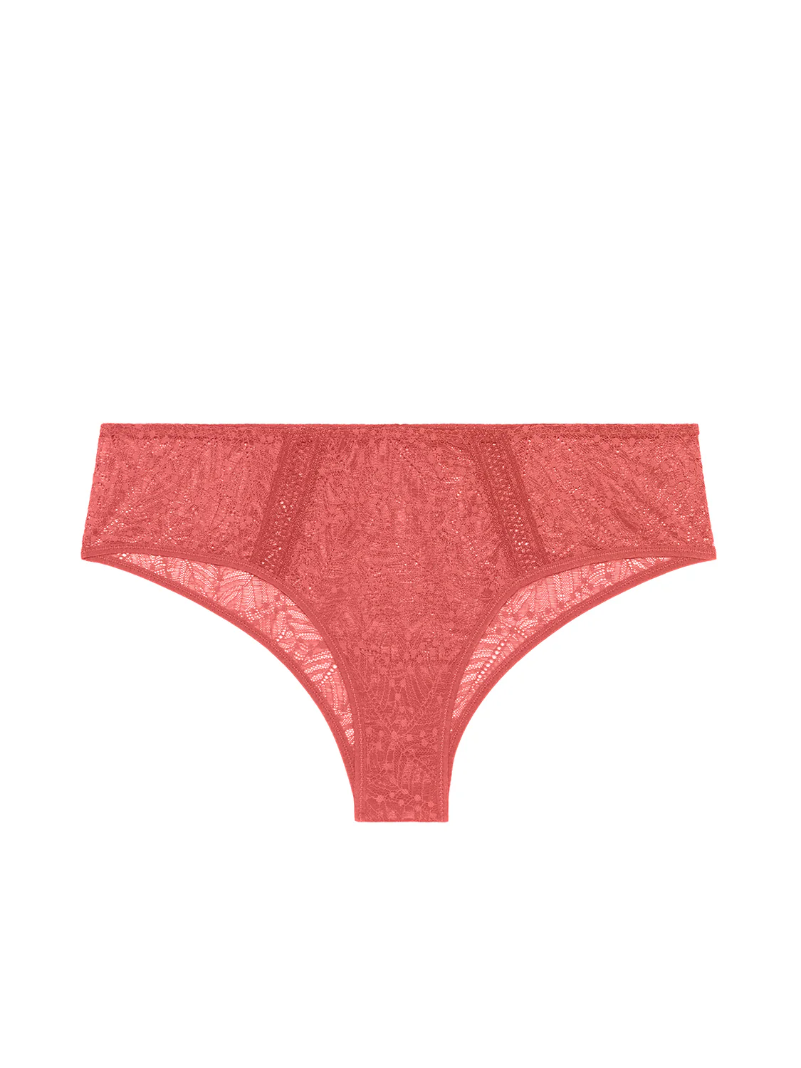 Shorty - Rose Texas - Image 5